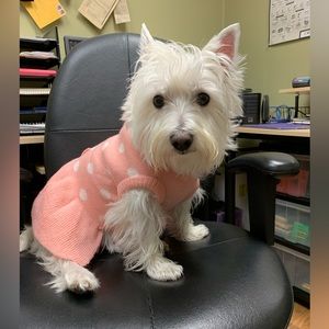 Pink Dot Sweater Dress